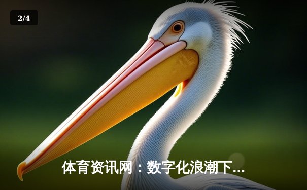 体育资讯网：数字化浪潮下的全球体育动态枢纽与生活新体验 - 2