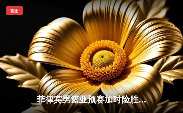 菲律宾男篮亚预赛加时险胜新西兰 归化球员布朗利狂砍38分创纪录